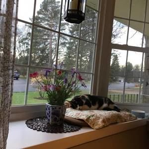 Meet your Posher, Jean